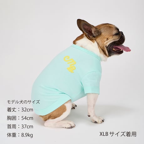 MANDARINE BROTHERS PUFFY LOGO COOL TEE