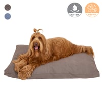 MANDARINE BROTHERS COZY BED