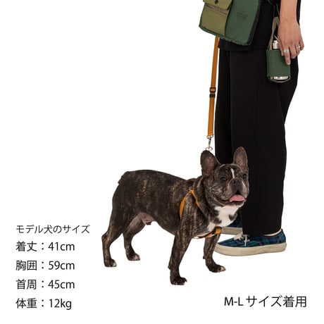 MANDARINE BROTHERS CLASSIC LEASH