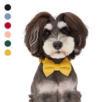 MANDARINE BROTHERS BOW TIE
