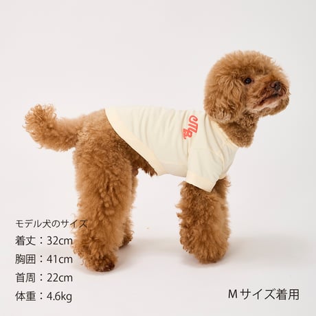 MANDARINE BROTHERS PUFFY LOGO COOL TEE