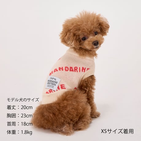 MANDARINE BROTHERS MNDRN LOGO KNIT