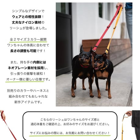 MANDARINE BROTHERS CLASSIC LEASH