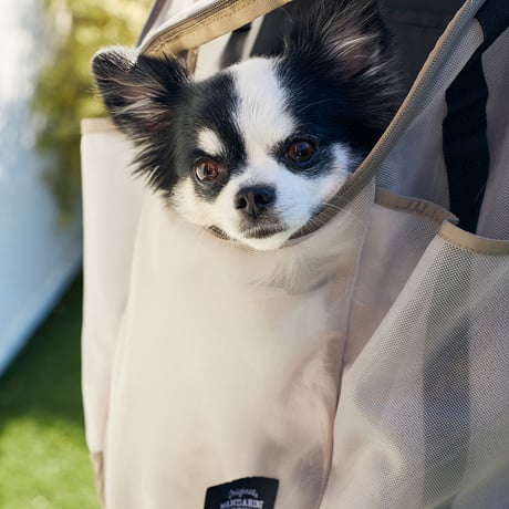 MANDARINE BROTHERS MESH WINSTON HUG BAG
