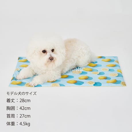 MANDARINE BROTHERS COOL CAFE MAT