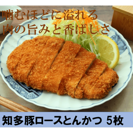 知多ハッピーごちそうセット～知多牛・知多豚～ コロッケ６個 ハンバーグ5個 ロースとんかつ5枚【冷凍便・送料無料】