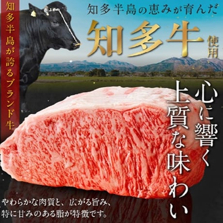 知多牛１００％ハンバーグ　１２０ｇ×６個【冷凍便・送料無料】