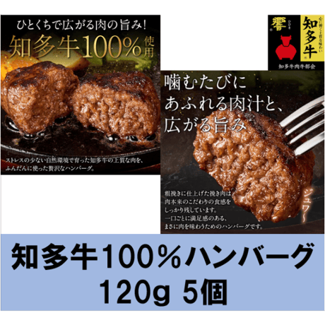 知多ハッピーごちそうセット～知多牛・知多豚～ コロッケ６個 ハンバーグ5個 ロースとんかつ5枚【冷凍便・送料無料】