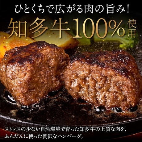 知多牛１００％ハンバーグ　１２０ｇ×６個【冷凍便・送料無料】