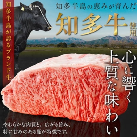 知多ハッピーごちそうセット～知多牛・知多豚～ コロッケ６個 ハンバーグ5個 ロースとんかつ5枚【冷凍便・送料無料】