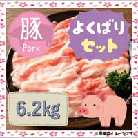 【送料無料】 知多豚よくばりセット6.2ｋｇ