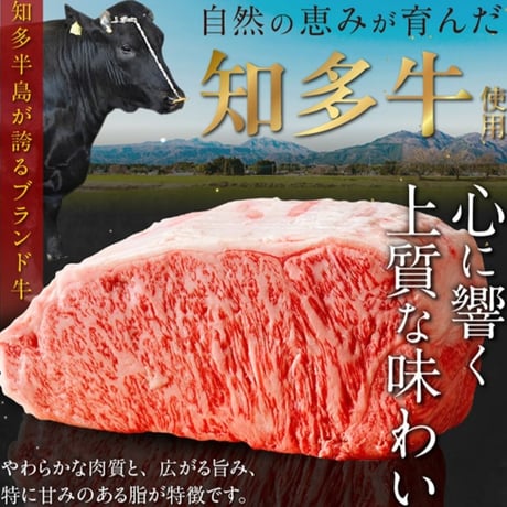 知多牛コロッケ１２個セット（３個×４パック）【冷凍便・送料無料】