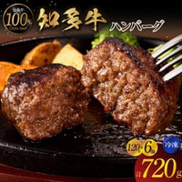 知多牛１００％ハンバーグ　１２０ｇ×６個【冷凍便・送料無料】