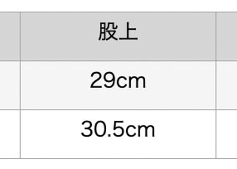 acamine half pants black