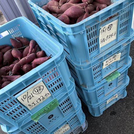 焼き芋　紅はるか ２袋入り(総量１kg)　運賃込み価格