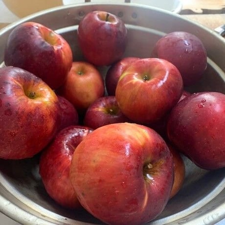 手作りドライフルーツ　りんご　紅玉