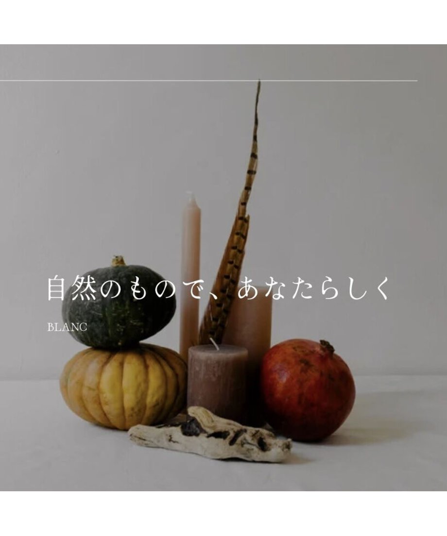 63589905f519736f2ba8e783