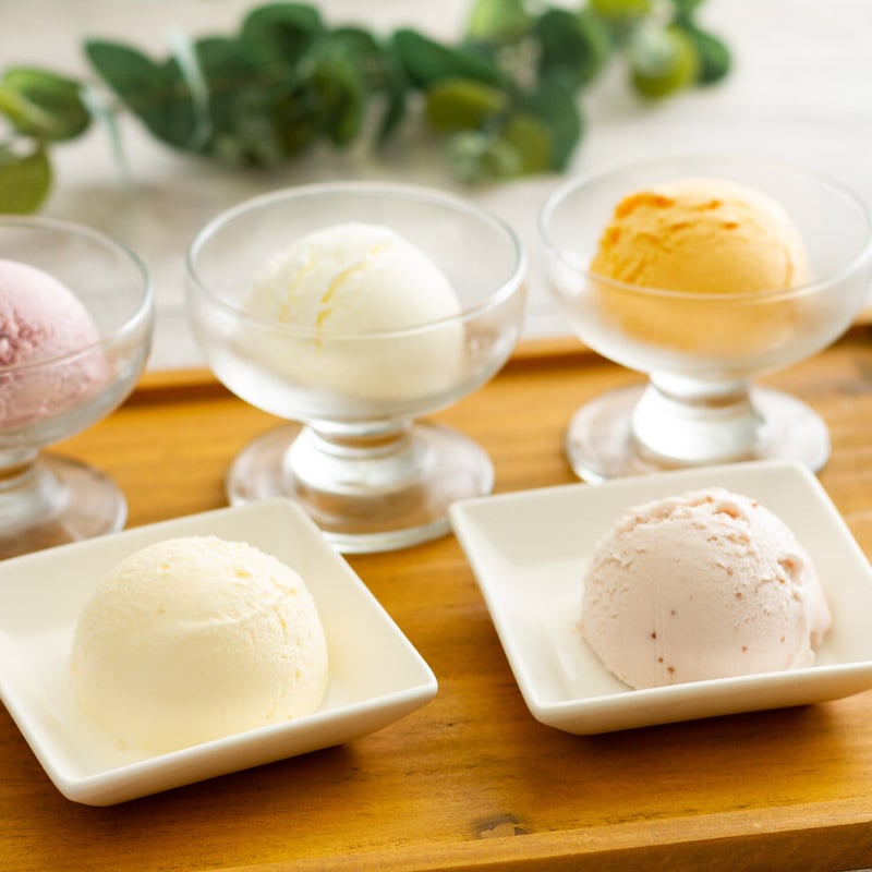 乳蔵北海道アイスクリーム5種10個（冷凍）（110130）（お中元 