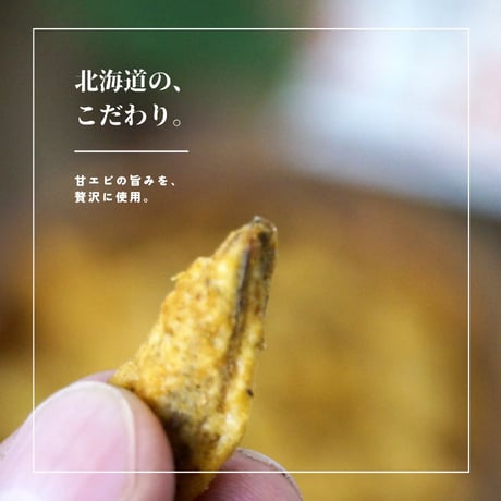 【江戸屋】海老頭フライスープカレー味21g - 奥芝商店監修 -（5816）甘えびの旨みが凝縮した香ばしスナック