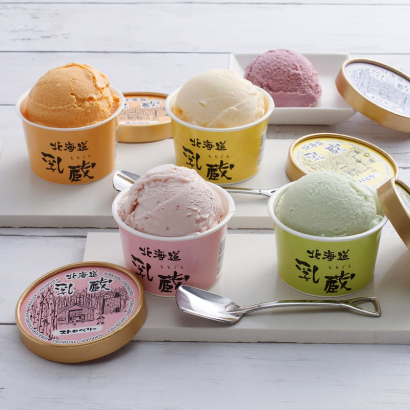 乳蔵アイスクリーム10個（110130）北海道ミルクと5種の味わいを楽しむ