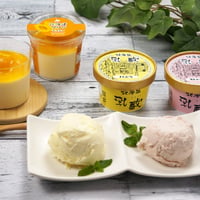 北海道アイスクリーム＆マンゴープリン（120048）乳蔵アイスと濃厚マンゴープリンの贅沢スイーツセット　送料無料　差し入れ　お取り寄せ　お中元　お歳暮　ギフト　贈答品