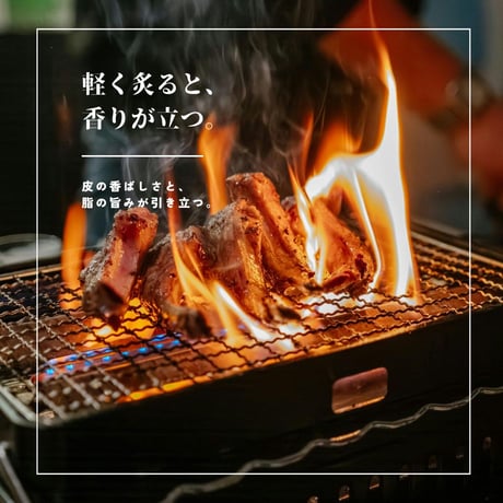 【江戸屋】ふぞろい紅鮭とば100g（3711）脂のり抜群の紅鮭を皮つきで干し上げた本格珍味