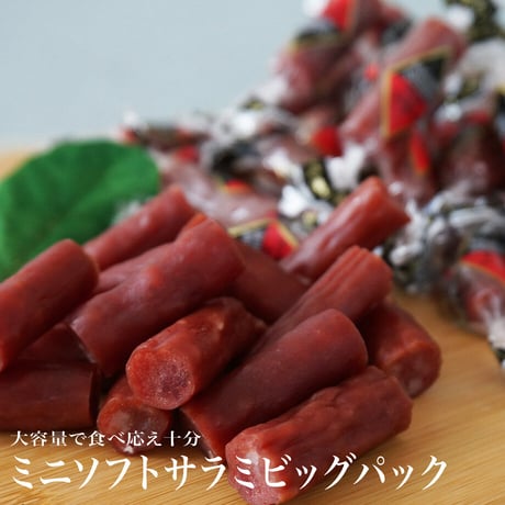 【江戸屋】ミニソフトサラミビッグパック157g（14965）スパイスが程よく効いた ひと口サイズ やわらか食感 大容量おつまみ