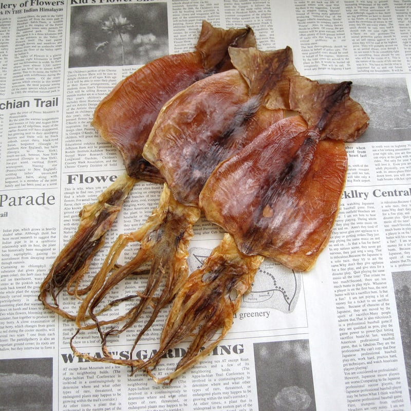 江戸屋】するめ3枚（1309） | 【 公式 】北の箱 〜 北海道海産物使用