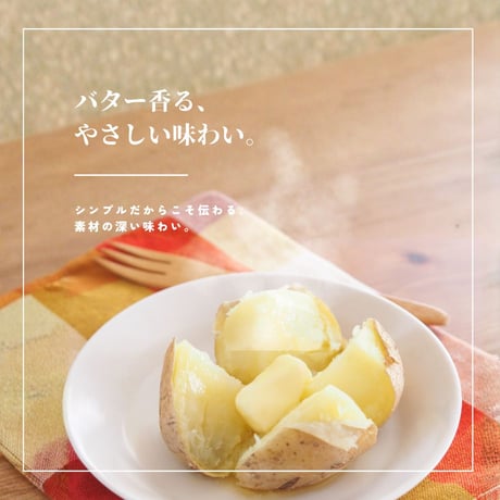※訳あり（賞味期限2026年10月27日）・数量限定※バタじゃが - 南富良野 - 1個（1336-sh00）