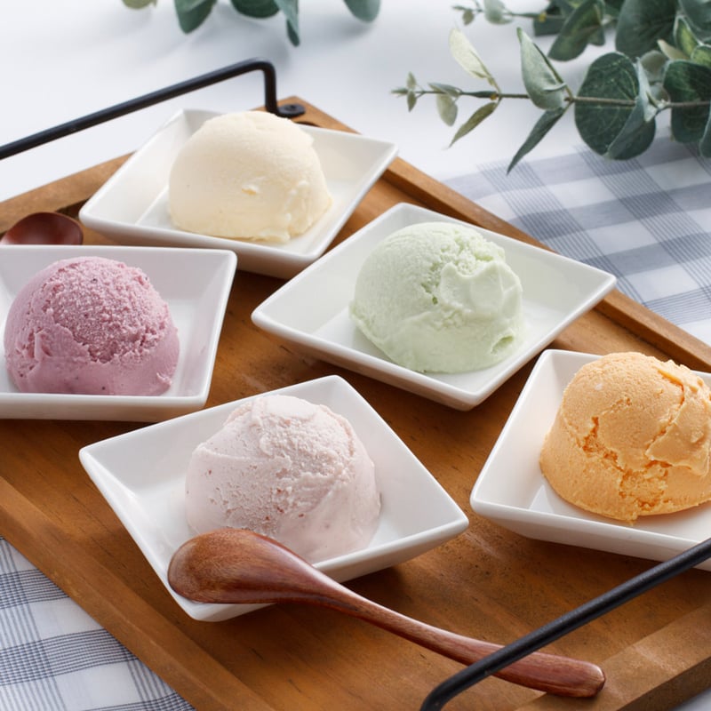 乳蔵アイスクリーム5個（110167）【送料無料】（差し入れ）（お