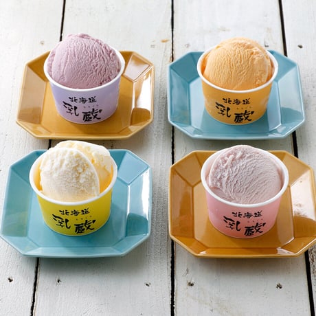 乳蔵北海道アイスクリーム8個（冷凍）（110129）（お中元）（ギフト）（贈答品）【送料無料】