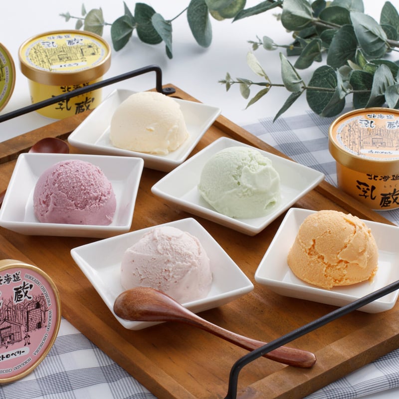 乳蔵アイスクリーム10個（110130）【送料無料】（差し入れ）（お