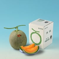 夕張メロン1.3kg×1玉（820010）【送料無料】（差し入れ）（お取り寄せ）（お中元）（ギフト）（贈答品）