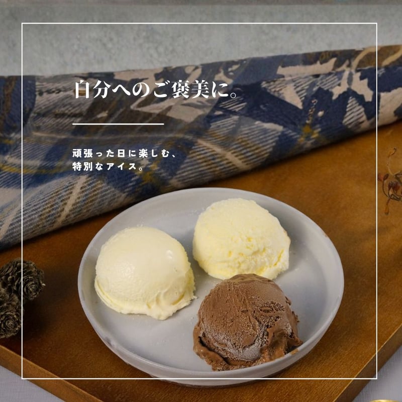 冬の濃厚アイスクリーム9個（110132）北海道ミルクと3種の贅沢