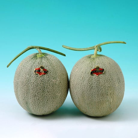 夕張メロン1.3kg×2玉（1011）芳醇な香りととろける果肉を味わう高級メロン　送料無料　差し入れ　お取り寄せ　お中元　ギフト　贈答品