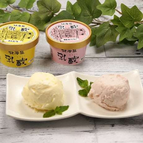北海道アイスクリーム＆マンゴープリン（120048）乳蔵アイスと濃厚マンゴープリンの贅沢スイーツセット　送料無料　差し入れ　お取り寄せ　お中元　お歳暮　ギフト　贈答品