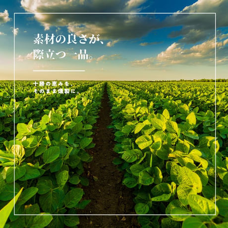 【江戸屋】しっとりむっちり燻製大豆36g（17105）北海道十勝産大豆×桜チップ燻製の新食感おつまみ