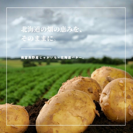 ※訳あり（賞味期限2026年10月27日）・数量限定※バタじゃが - 南富良野 - 1個（1336-sh00）