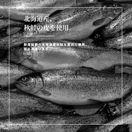 【江戸屋】鮭皮チップ28g×10袋（10-3672）北海道加工食品コンクール奨励賞受賞・香ばしく軽い鮭皮スナック