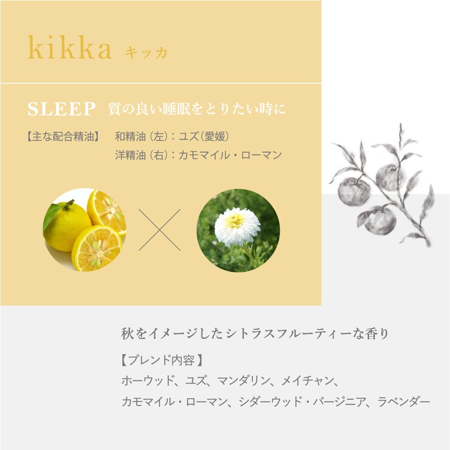 641680eddc901c16ab9c697b