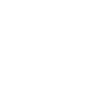 花処江戸桜