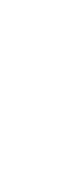 花処江戸桜