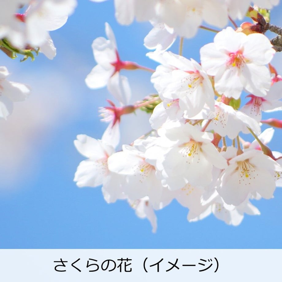 63cb671e25c9061f3a483aab