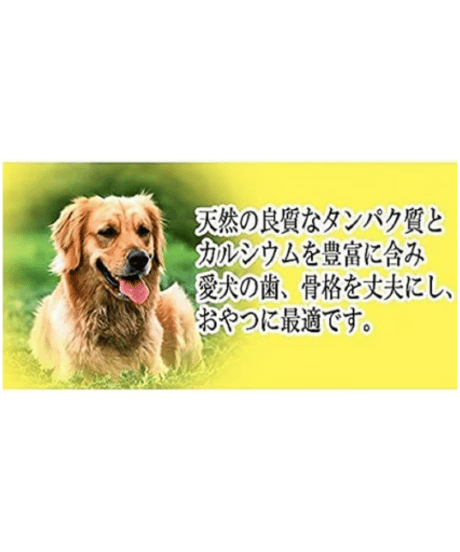 サカモト 塩無添加 犬用おやつ ワンちゃんにぼし お徳用 1kg×2袋