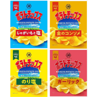 湖池屋　ポテトチップス 人気4種セット　 しお味,金のコンソメ,のり塩,ガーリック　各3袋計12袋