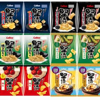 カルビー 堅あげポテト 6種アソート各2袋計12袋( うすしお味、ブラックペッパー味、焼きのり味、梅味、牡蠣バター味(賞味期限:2026年11月)、塩わさび)