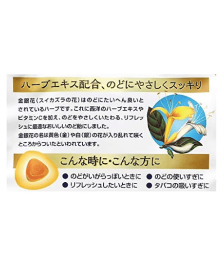 求心製薬ののどにやさしい金銀花のど飴・70g×2袋