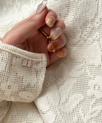 Apricot