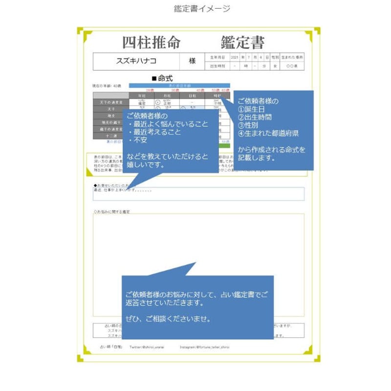 四柱推命 鑑定書(※初回ご注文) | 白惟 ワクワク四柱推命®鑑定