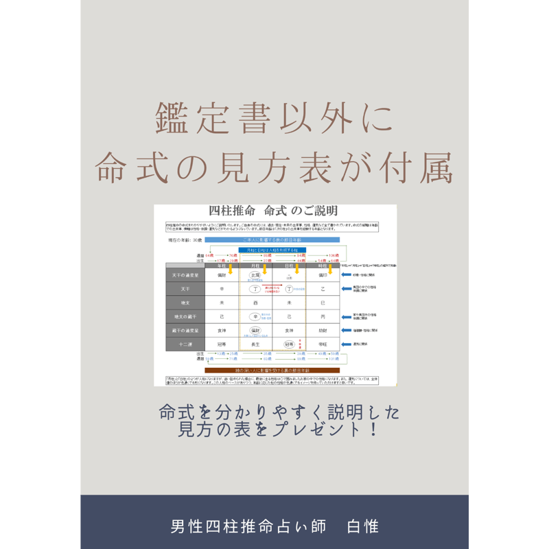 初めての方限定》四柱推命 鑑定書 — あなたの人生の設計図を読み解く